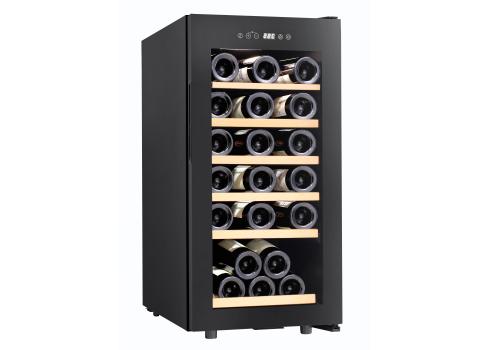 New Coral_gallery_01